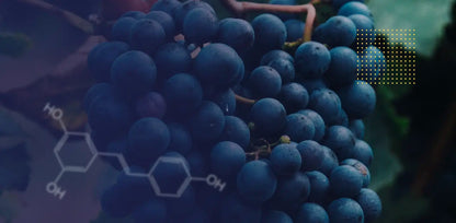 2 Und Resveratrol Green World Combo